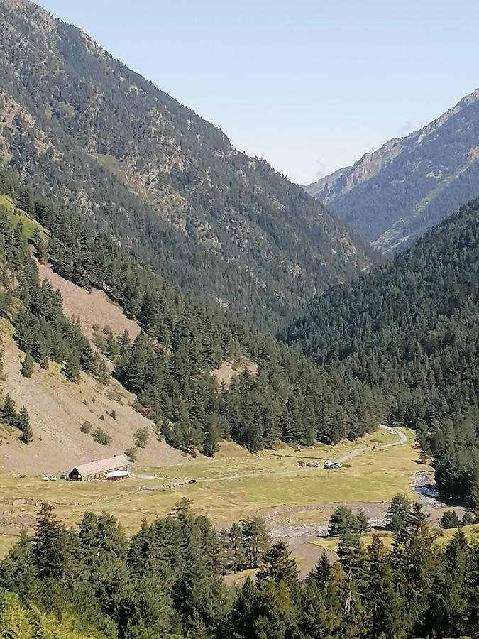Studio 4 Personnes Saint-Lary-Soulan Eksteriør billede
